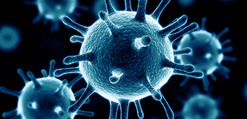 Corona virus
