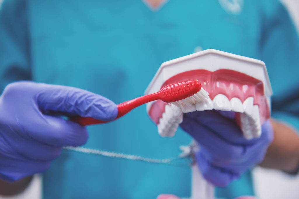 Dentist in protective gloves holding a toothbrush and dental prosthesis, close-up — illustrating the question: Is your toothbrush harming your gums?